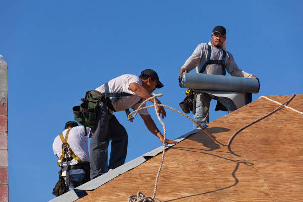 Best Roof Leak Repair  in Seville, FL