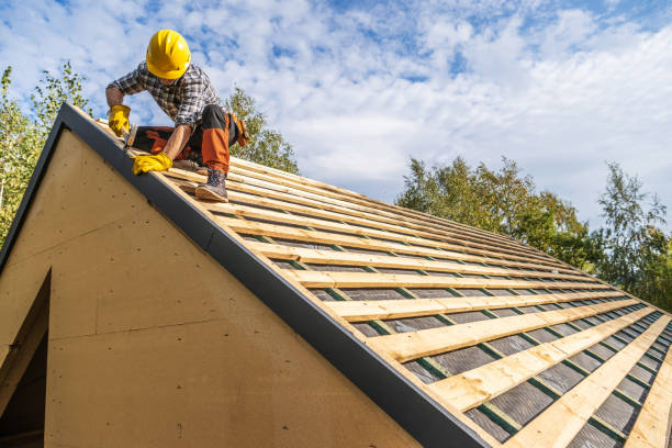 Best Roof Gutter Cleaning  in Seville, FL